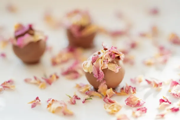 Casino Palm Slots Android/iOS-app